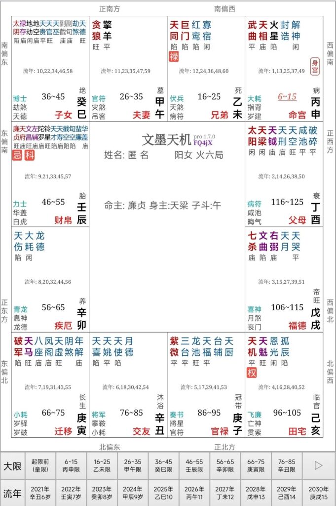 图片[2]-案例分析：紫微命盘如何推算龙凤胎？（中州六十星系推算）-星理