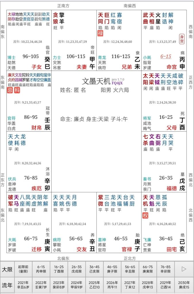 图片[3]-案例分析：紫微命盘如何推算龙凤胎？（中州六十星系推算）-星理