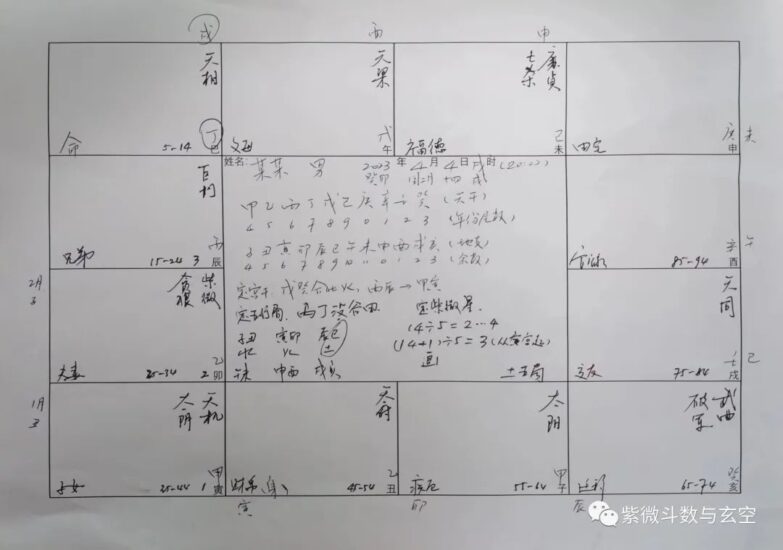 紫微斗数手工排盘(3)-星理