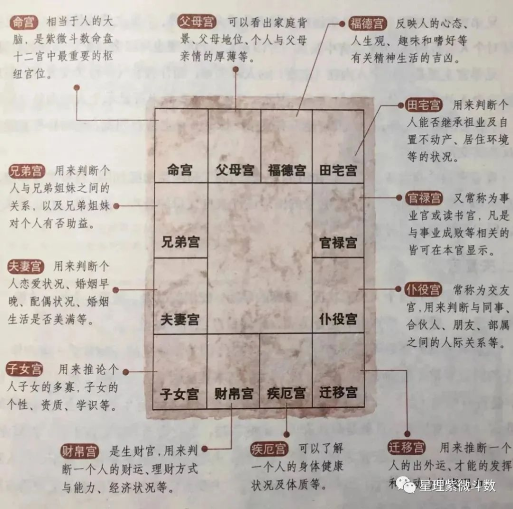 命宫坐十二地支，透视你的性格特征和职业选择